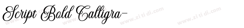 Script Bold Calligra字体转换